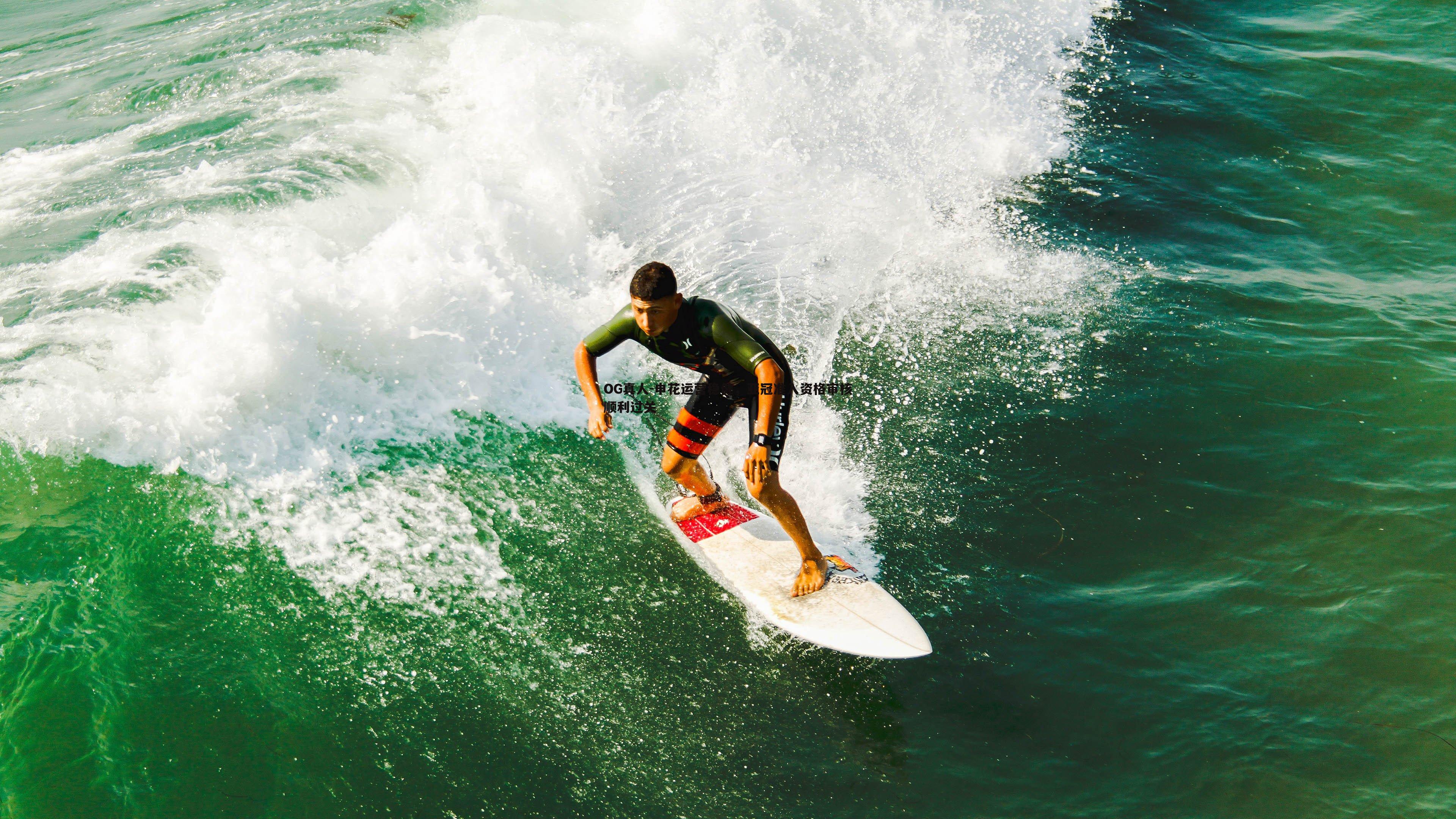 申花运营稳健,亚冠准入资格审核顺利过关