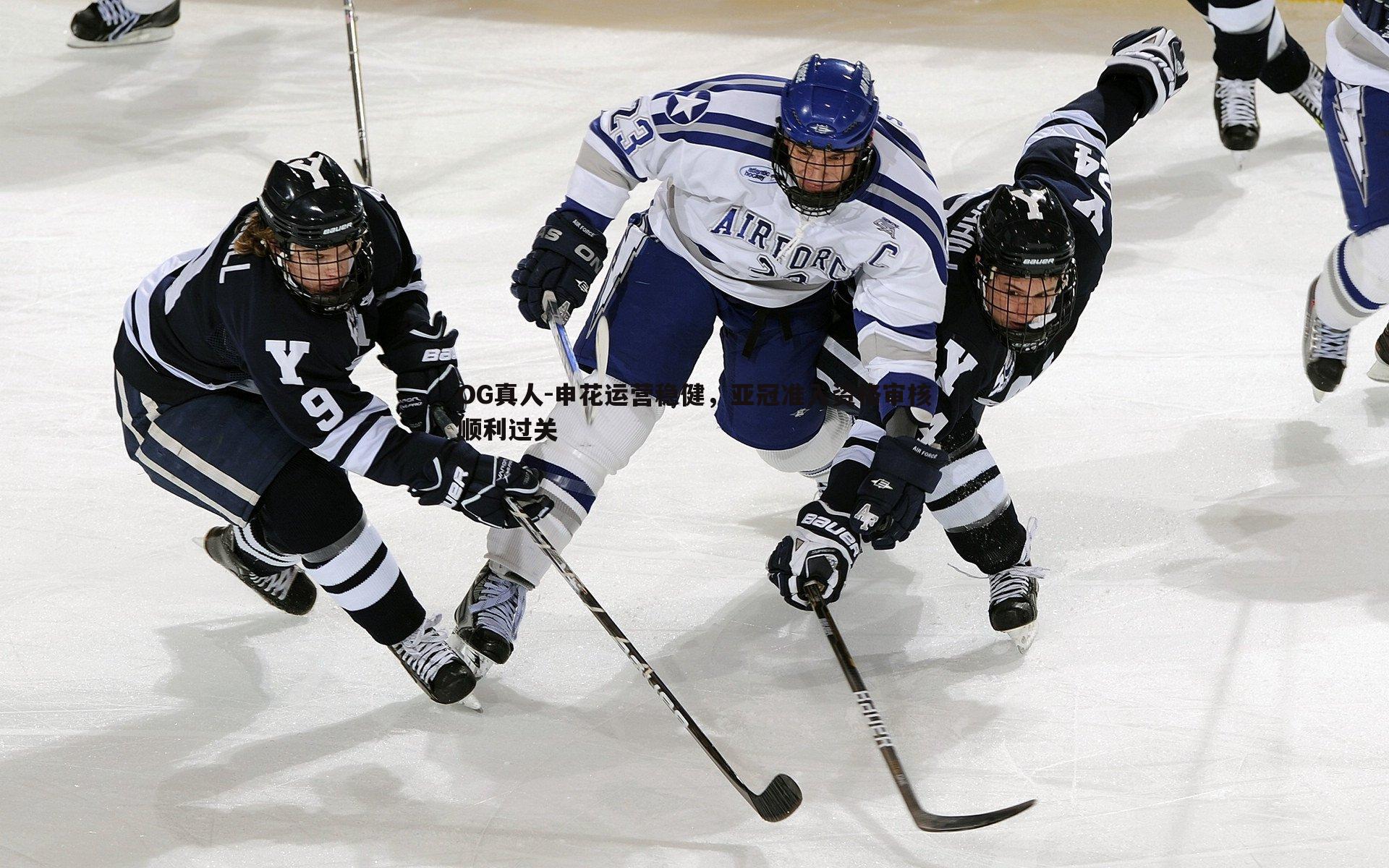 申花运营稳健,亚冠准入资格审核顺利过关